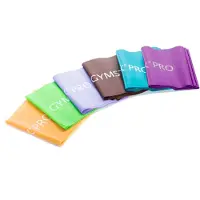 Gym Stick Pro Weerstandsband - Light - 2,5 m