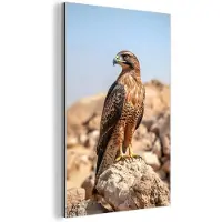 MuchoWow Aluminium schilderij 20x30 cm - Wanddecoratie metaal - Valk - Vogel - Rots - Macht - Metalen muurdecoratie woonkamer - Decoratie industrieel - Foto op dibond - Industriële accessoires slaapkamer
