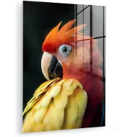 MuchoWow Glasschilderij 90x120 cm - Schilderij acrylglas - Close-up - Papegaai - Veren - Oranje - Foto op glas - Muurdecoratie woonkamer - Wanddecoratie slaapkamer - Schilderijen