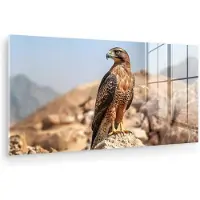 MuchoWow Glasschilderij 80x40 cm - Schilderij acrylglas - Valk - Vogel - Rots - Macht - Foto op glas - Muurdecoratie woonkamer - Wanddecoratie slaapkamer - Schilderijen