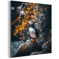 MuchoWow Aluminium schilderij 90x90 cm - Wanddecoratie metaal - Papegaai - Vogel - Rots - Wit - Metalen muurdecoratie woonkamer - Decoratie industrieel - Foto op dibond - Industriële accessoires slaapkamer