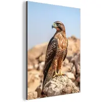 MuchoWow Aluminium schilderij 30x40 cm - Wanddecoratie metaal - Valk - Vogel - Rots - Macht - Metalen muurdecoratie woonkamer - Decoratie industrieel - Foto op dibond - Industriële accessoires slaapkamer