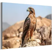 MuchoWow Aluminium schilderij 150x100 cm - Wanddecoratie metaal - Valk - Vogel - Rots - Macht - Metalen muurdecoratie woonkamer - Decoratie industrieel - Foto op dibond - Industriële accessoires slaapkamer