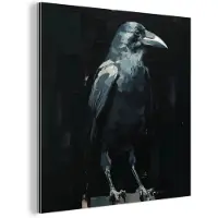 MuchoWow Aluminium schilderij 50x50 cm - Wanddecoratie metaal - Raaf - Vogels - Zwart - Metalen muurdecoratie woonkamer - Decoratie industrieel - Foto op dibond - Industriële accessoires slaapkamer
