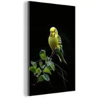 MuchoWow Aluminium schilderij 120x180 cm - Wanddecoratie metaal - Parkiet - Tak - Bladeren - Geel - Metalen muurdecoratie woonkamer - Decoratie industrieel - Foto op dibond - Industriële accessoires slaapkamer