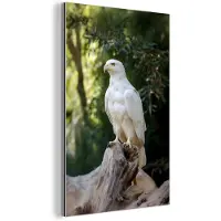 MuchoWow Aluminium schilderij 60x90 cm - Wanddecoratie metaal - Arend - Hout - Wit - Planten - Metalen muurdecoratie woonkamer - Decoratie industrieel - Foto op dibond - Industriële accessoires slaapkamer