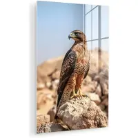 MuchoWow Glasschilderij 120x180 cm - Schilderij acrylglas - Valk - Vogel - Rots - Macht - Foto op glas - Muurdecoratie woonkamer - Wanddecoratie slaapkamer - Schilderijen