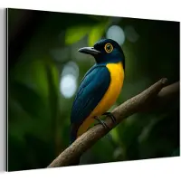 MuchoWow Aluminium schilderij 60x40 cm - Wanddecoratie metaal - Vogel - Tak - Geel - Bladeren - Metalen muurdecoratie woonkamer - Decoratie industrieel - Foto op dibond - Industriële accessoires slaapkamer