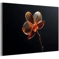 MuchoWow Aluminium schilderij 150x100 cm - Wanddecoratie metaal - Orchidee - Doorzichtig - Bloem - Metalen muurdecoratie woonkamer - Decoratie industrieel - Foto op dibond - Industriële accessoires slaapkamer