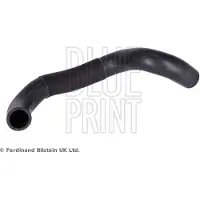 Blue Print ADBP930010 Radiateurslang