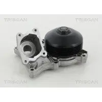 TRISCAN 8600 11038 Waterpomp