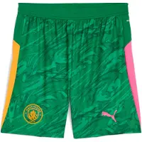 Puma Sportbroek 'Manchester City 25/26' groen / oranje / pink