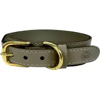 SAZZZ halsband hond pioneer classic leer taupe
