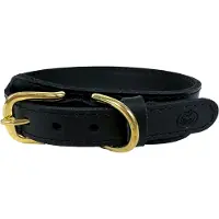 SAZZZ Halsband Hond Pioneer Classic Leer Zwart 32-39X3 Cm