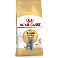Royal Canin British shorthair adult 2kg