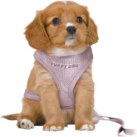 Trixie - Hondentuig - Junior - Puppy Softtuig - Met Riem - Lila - 36-50X1 cm/2 m