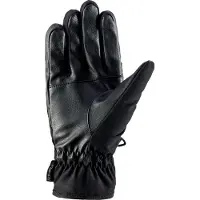 Viking Pamir Gore-tex Infinium Windstopper Handschoenen