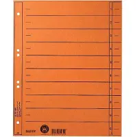 Leitz Staffeltabblad Karton - Beschrijfbare Tabs, 2/4-rings - Voor Ordners en Ringbanden - Oranje