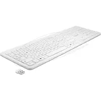 DeLOCK USB -toetsenbord 2.4 GHz draadloos wit (plat)
