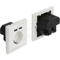 DeLOCK inbouwstopcontact | 2x USB-A | 12W | wit