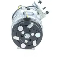 BV PSH 090.595.083.905 Aircopomp
