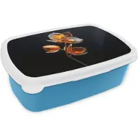 MuchoWow Broodtrommel Blauw - Lunchbox Bloem - Orchidee - Oranje - Brooddoos 18x12x6 cm - Brood lunch box - Broodtrommels voor kinderen en volwassenen
