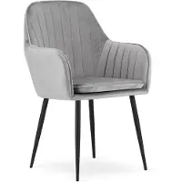 Leobert LUGO Velvet Design Stoelen – Set van 2 – Zilvergrijs Fluweel – Zwarte Metalen Poten – Met Armleuningen – Afneembare Hoes – Max. 120 kg
