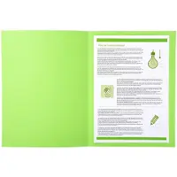 Exacompta Forever Young Dossiermap A4 Groen Manila 100% gerecycled 220 g/m² 250 Stuks
