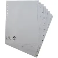 Exacompta 20x Tabbladen met bedrukte tabs in gerecycled PP - 12 tabs - 1 tot 12 - A4 - Grijs - 1912E