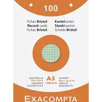 Exacompta 10x etui 100 steekkaarten bristol geruit 5x5 geperforeerd 148x210mm - Geassorteerd - 13658E