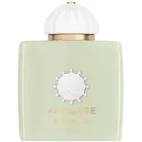Amouage Existence Eau de Parfum 100 ml