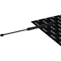 RIDEX 219G0621 Gasveer achterklep
