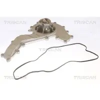 TRISCAN 8600 29092 Waterpomp
