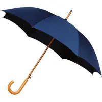 Falcone - Paraplu - Ø 102 cm - Automaat - Windproof - Marine Blauw