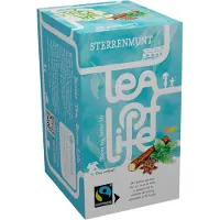 Tea Of Life Fairtrade - Sterrenmunt- 100 zakjes