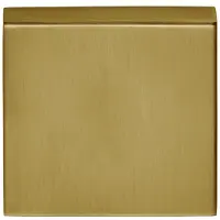 Formani Basics BSQB53 blind afdekplaatje vierkant - PVD mat goud