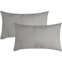 Stof Textile sierkussen Nelson - 2x - lichtgrijs - 30 x 50 cm - bank kussens - zitkussens - binnen/buiten - polyester