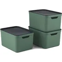 Rotho Jive opbergboxen set van 3 opbergdozen 16 l met deksel, kunststof (PP gerecycled), groen/antraciet, 3x16 (35 x 25 x 20 cm)