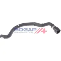 BOGAP A4228206 Radiateurslang