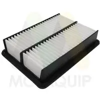 MOTAQUIP LVFA1749 Luchtfilter