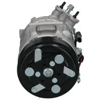 BV PSH 090.135.042.876 Aircopomp