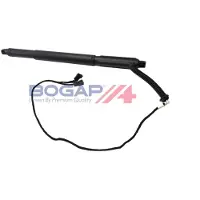 BOGAP B5260160 Gasveer achterklep