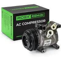 RIDEX 447K1003R Aircopomp