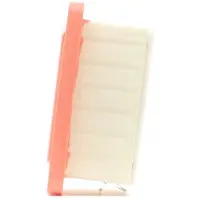 FILTRON Luchtfilter AP 133/6