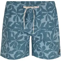 Protest Boardshorts 'Baza'