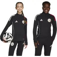 Adidas Functioneel shirt 'Ajax Tiro 25 Competition' rood / zwart / wit