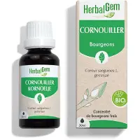 Herbalgem Kornoelje Bio | 30 ml