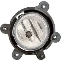 Diederichs 6585189 Mistlamp