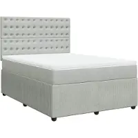 vidaXL Boxspring met matras fluweel lichtgrijs 160x200 cm