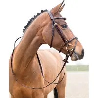 Hankkija.fi Constance Gevoerd Gecombineerd Hoofdstel, Light Brown, Warmblut